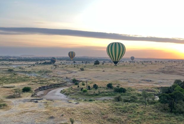 serengeti national (2)
